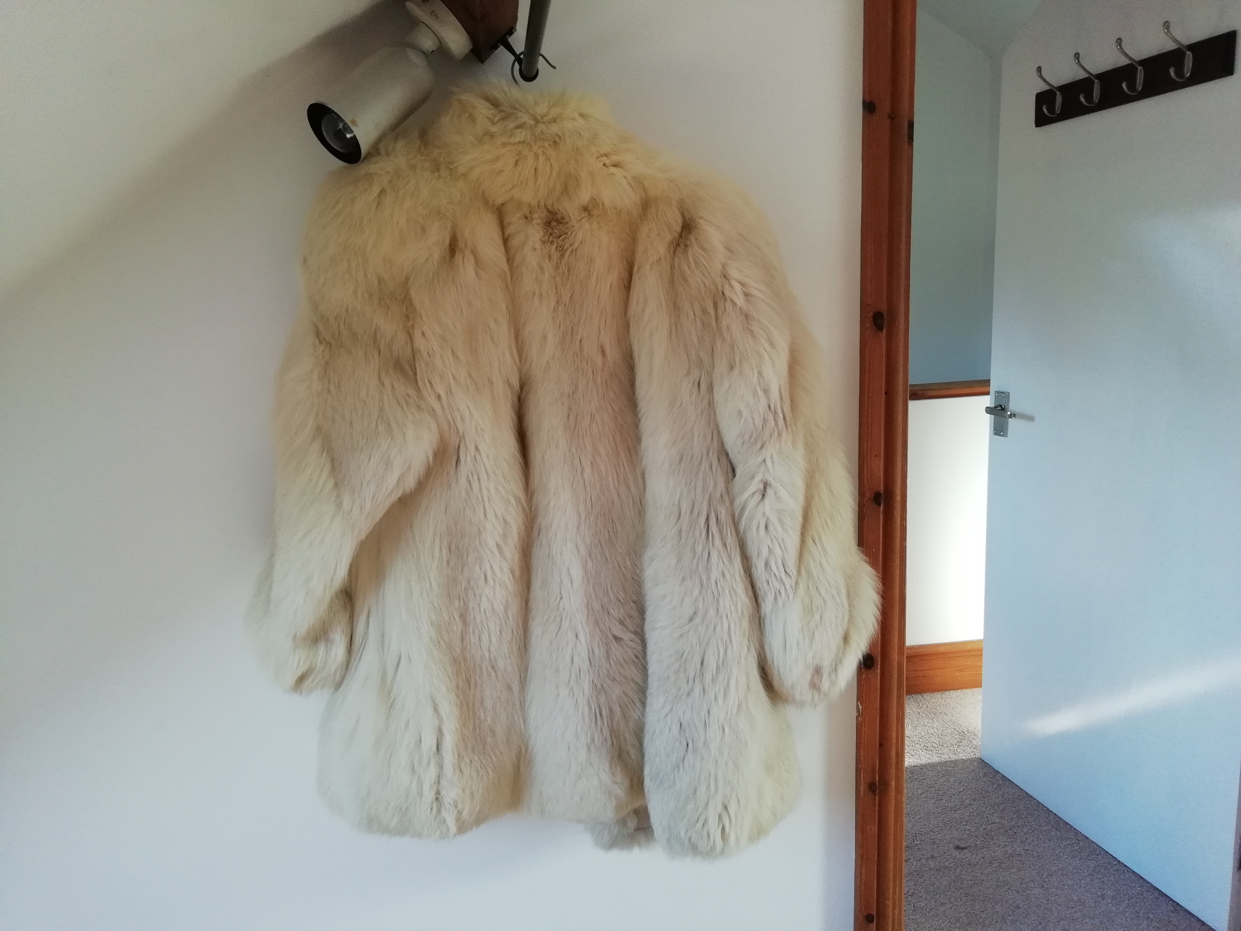 arctic fox coat